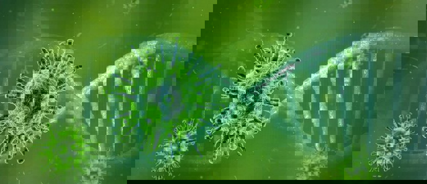 W Polsce 144 nowe przypadki zakażenia koronawirusem. Zmarło osiem osób