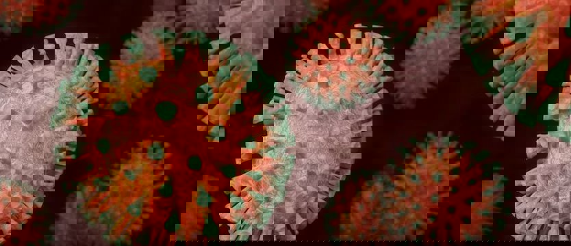 Nowe zakażenia wirusem SARS-CoV-2 w kraju. 15 osób nie żyje