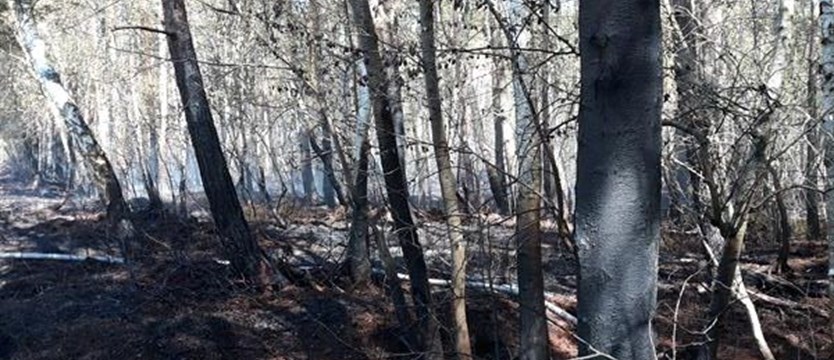 Jeden z największych pożarów na wyspach. 2,4 hektara terenu zniszczone