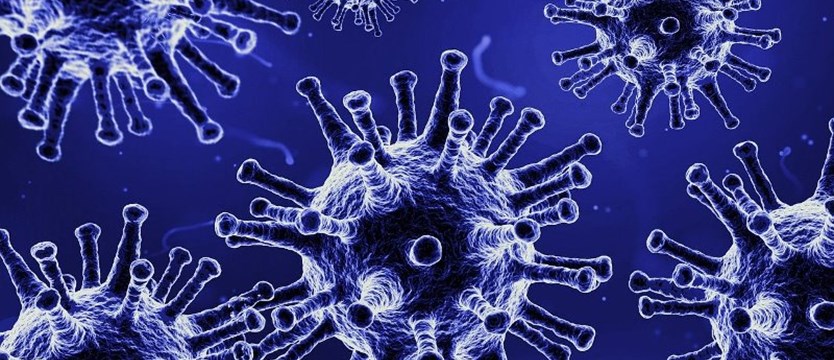 Nowe przypadki wirusa SARS-CoV-2 w kraju