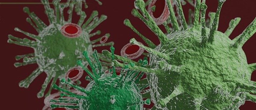 Ponad 20 tys. przypadków koronawirusa w Polsce