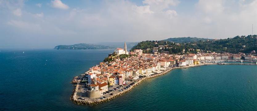 Zielony kraj bez koronawirusa