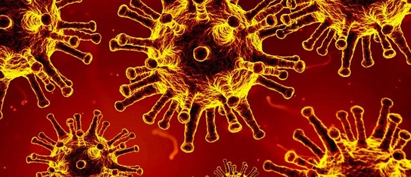 W piątek w kraju 333 nowe zakażenia wirusem SARS-CoV-2