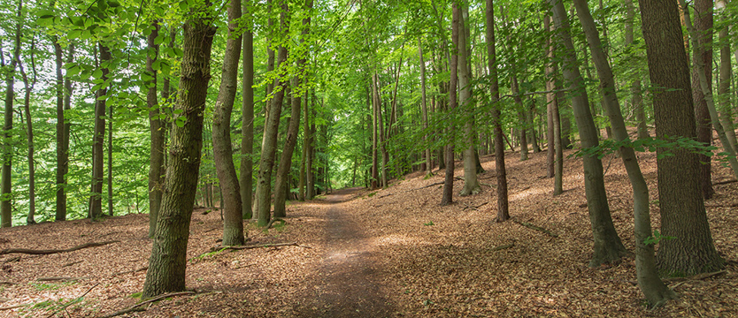Na szlakach Szprewaldu