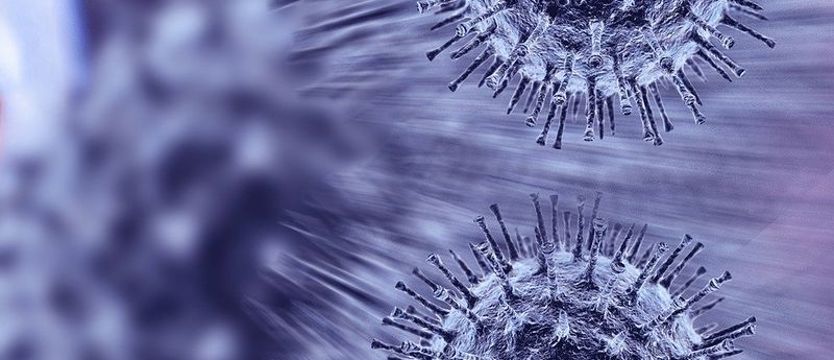 W niedzielę 375 nowych przypadków SARS-CoV-2 w kraju. Zmarło 10 osób