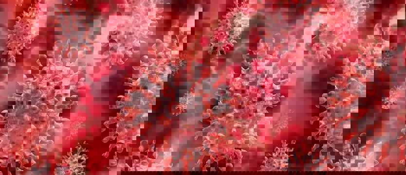 W czwartek 314 nowych przypadków koronawirusa. Zmarło 30 osób