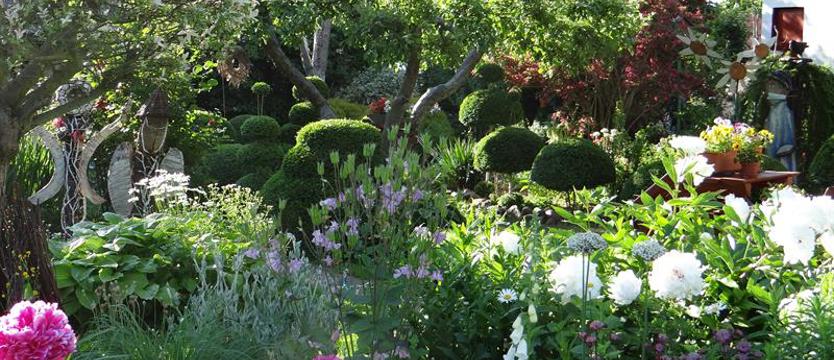 To, co najlepsze, czyli ogrody, balkony, podwórka i działki do oceny