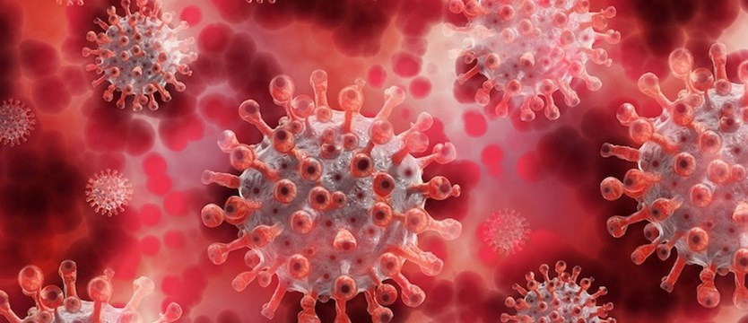 W czwartek w kraju 298 nowych zakażeń wirusem SARS-CoV-2­­­­