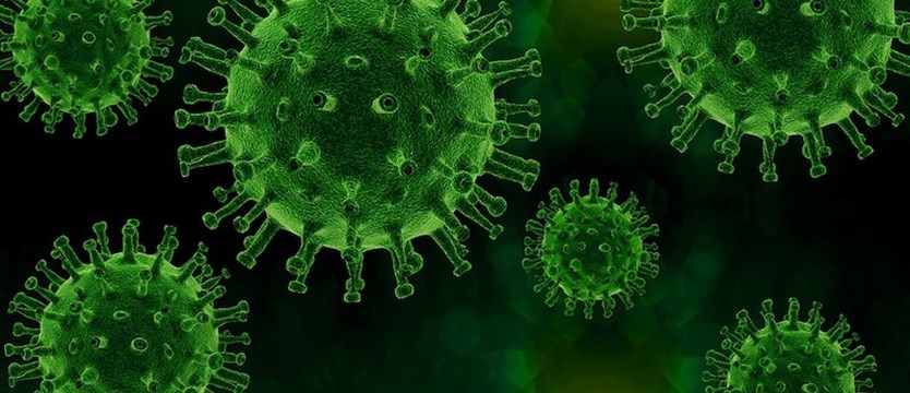 W poniedziałek w kraju 247 nowych przypadków koronawirusa. Zmarło 6 osób