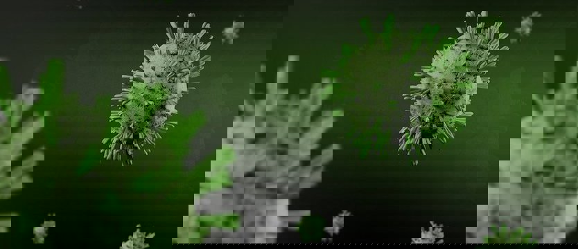 We wtorek w kraju 239 nowych przypadków zakażenia koronawirusem. Zmarło 19 osób