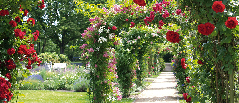 Kwitnące parki Brandenburgii