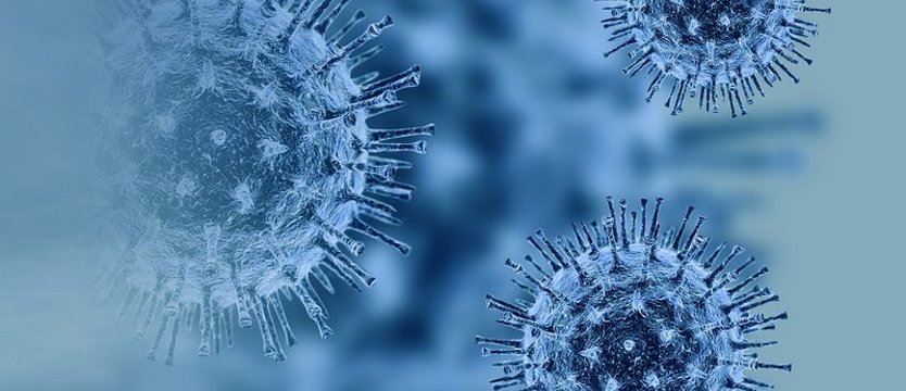 W kraju 231 nowych przypadków koronawirusa. Pięć osób zmarło