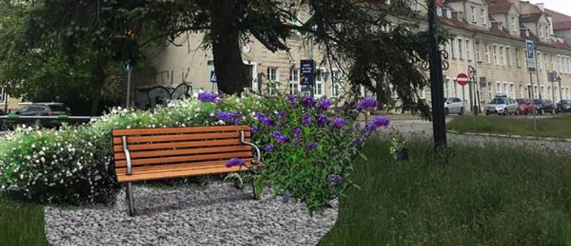 A jednak! Zazielenią Szczecin