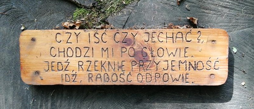 Poezja w Lesie Arkońskim