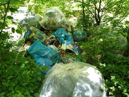 Z roku na rok coraz więcej śmieci w lasach. Leśnicy apelują: „Zabierz 5 z lasu”