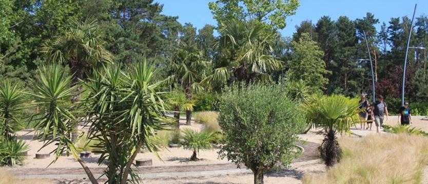 Egzotyczne wyspy… tuż za rogiem