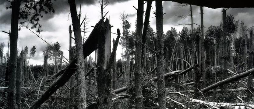 Krzyk w sprawie natury