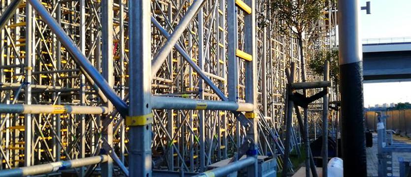 Siedem drzew uwięzionych