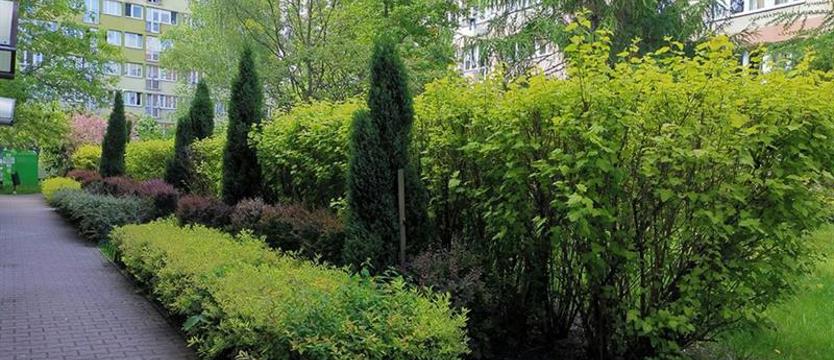 Osiedle wygląda coraz lepiej, a tu… ani jednego dobrego słowa