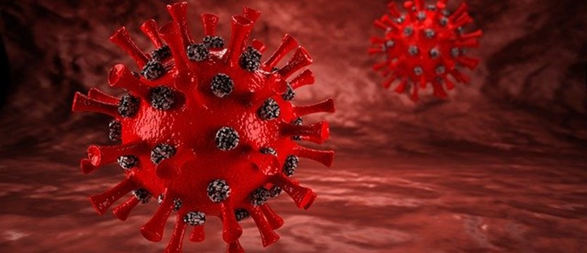 458 przypadków koronawirusa w kraju – najwyższy wzrost zakażeń od 17 czerwca