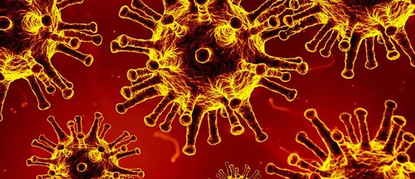 Kolejny rekordowy wzrost przypadków koronawirusa w kraju – 584 zakażonych