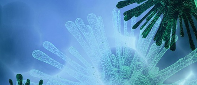 Ponad 500 nowych przypadków koronawirusa w kraju