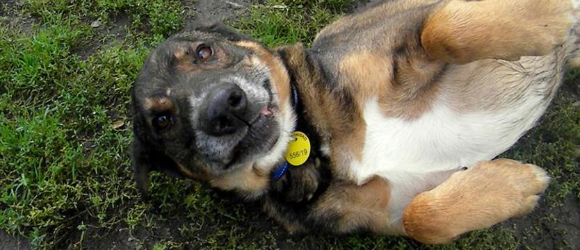 Nie zapomnij o Lordzie