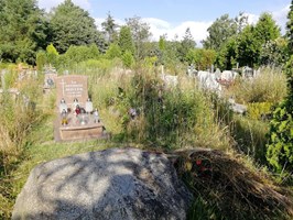 Zapomniane cmentarne kwatery toną w chaszczach