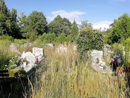 Zapomniane cmentarne kwatery toną w chaszczach