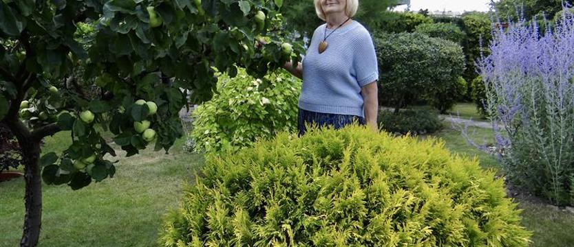 Cały Szczecin w kwiatach 2020. Działka z umiarem i wielością form