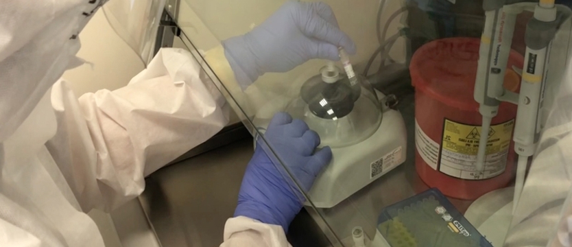 Siedemnaście przypadków koronawirusa w regionie. Najwięcej w Szczecinie