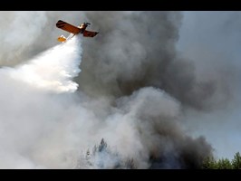 Coraz większe zagrożenie pożarowe w lasach Pomorza Zachodniego