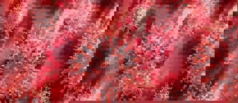 Liczba zakażonych w kraju przekroczyła 55 tysięcy. W piątek 832 nowe zakażenia