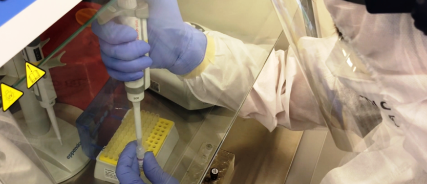 22 nowe zakażenia koronawirusem w województwie zachodniopomorskim