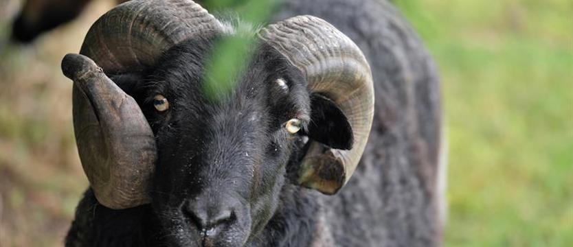 Pojezierze Drawskie. Czar natury