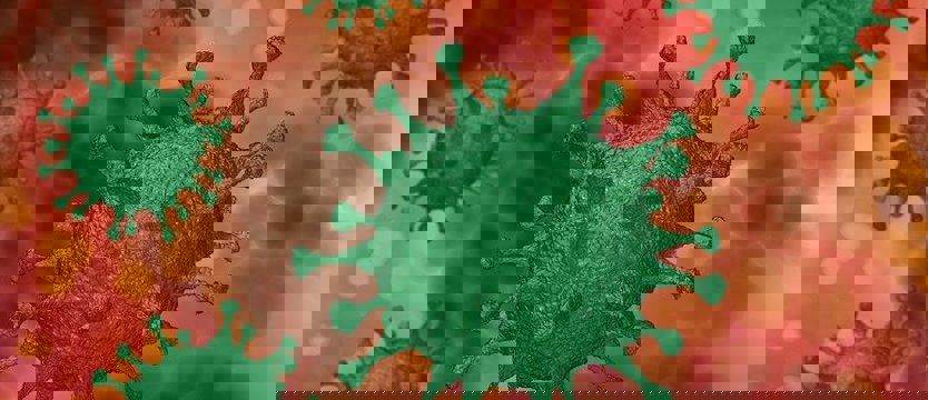 W środę w kraju mamy 735 nowych przypadków zakażenia koronawirusem. Zmarło 17 osób