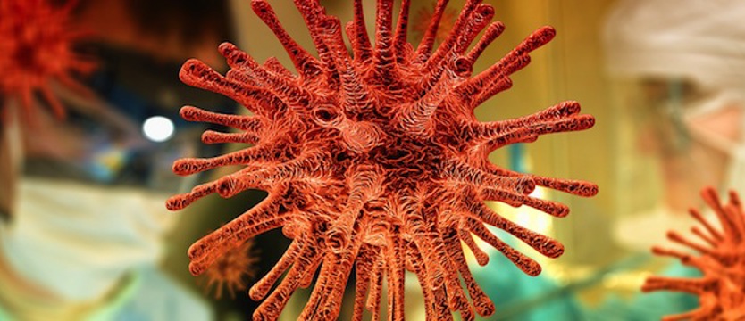 We wtorek 763 nowe przypadki COVID-19. Zmarło 17 osób