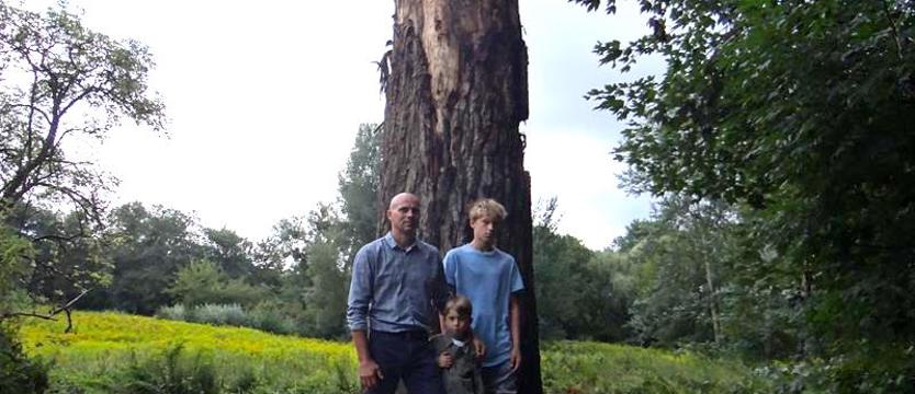 Z pasją do pszczół. Pierwsza w Szczecinie kłoda bartna