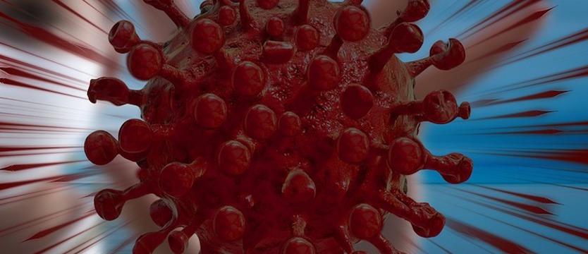 W kraju 729 nowych przypadków koronawirusa. 17 osób zmarło