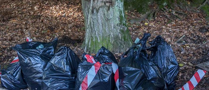 Psie ekopatrole czyli sobotnie sprzątanie na sześć łap