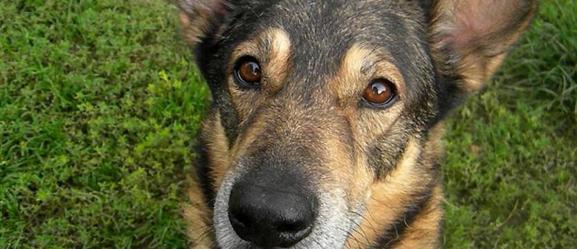 Kto zmieni świat porzuconego Batmana?