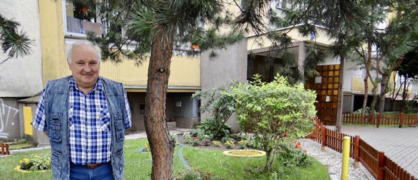 Cały Szczecin w kwiatach 2020. Zieleńce z rabatami pod sosnami