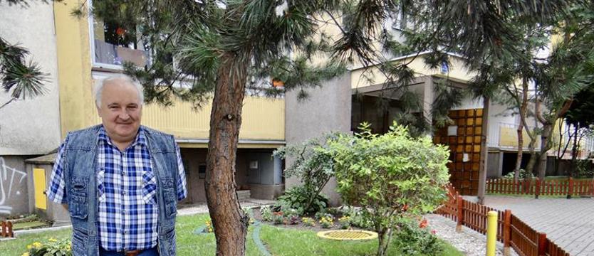 Zieleńce z rabatami pod sosnami