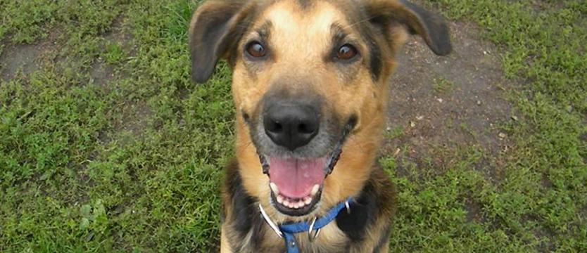 Gangus utkwił za kratami