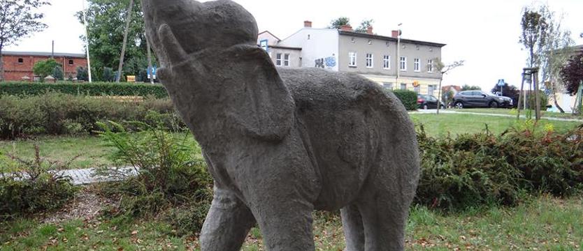 Dni Warszewa z Festynem Antoniańskim. Wszyscy mile widziani