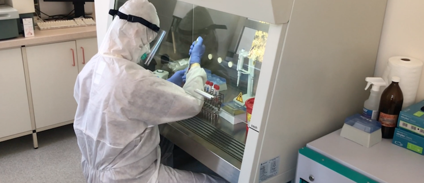 Trzy zakażenia koronawirusem w regionie