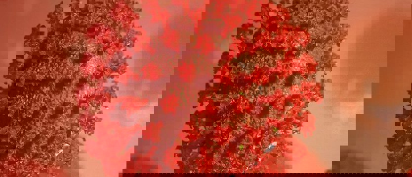 W kraju 400 nowych zakażeń koronawirusem. Zmarło 12 osób