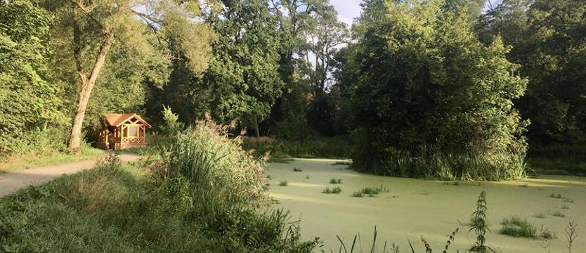 Zielony spacer z przewodnikiem