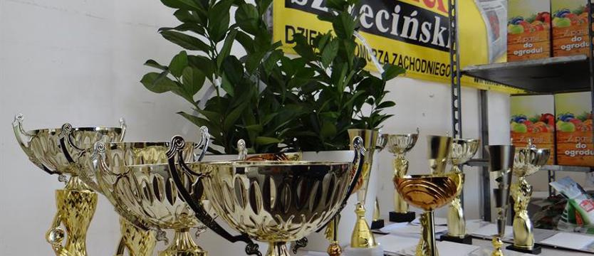 Nagroda Publiczności czeka. Czas na wybór!