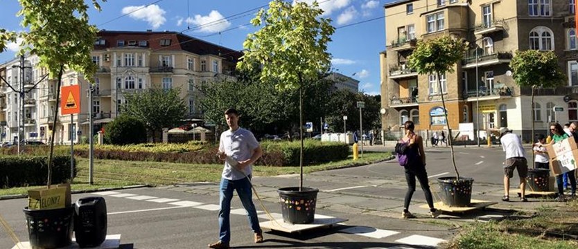 Szczeciński Ruch Miejski zaprasza na ostatnią paradę drzew